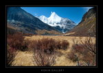 DSC_1361-1a