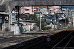 DKS_4636