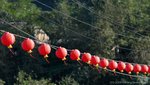 DKS_4679