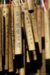 DKS_4682-1