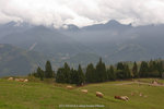 dowks_DKS_5660