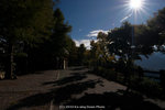 dowks_DKS_5688
