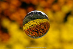 dowks_DKS_5750