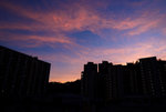 DSC_9635S