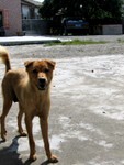 IMG_0313