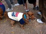 IMG_0148 (Medium)