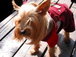 IMG_0174 (Medium)