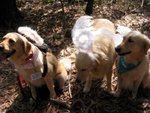 IMG_0195 (Medium)