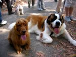 IMG_0199 (Medium)