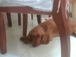 Image(012)