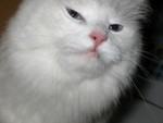 IMG_0359