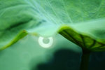 DSCF1048