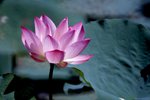 DSCF1051