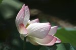 DSCF1065