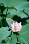 DSCF1074