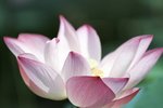 DSCF1100