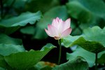 DSCF1112