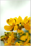DSCF0872a