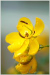 DSCF0902a