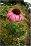 DSCF0935