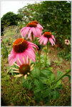 DSCF0938