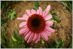 DSCF0942