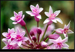DSCF1877