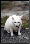 DSCF1524