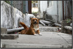 DSCF1543