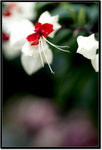 DSCF1504