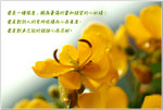 �R
