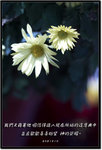 DSCF1424g