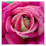 DSCF1345