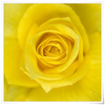 DSCF1352