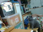 DSC00240