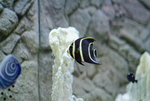 DSCF0010