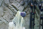 DSCF0013