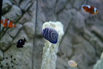 DSCF0015