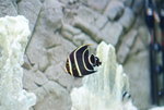 DSCF0017