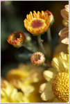 DSCF1402