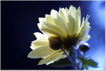 DSCF14701