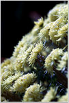 DSCF1471