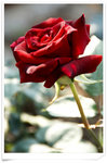 
..�ڷR�A