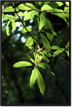 DSCF0030