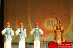 DSC_6018 copy