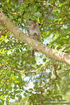 DSC_6371 copy