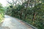 DSC_6432 copy