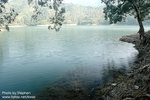 DSC_6436 copy