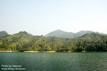 DSC_6444 copy