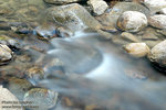 DSC_6451 copy